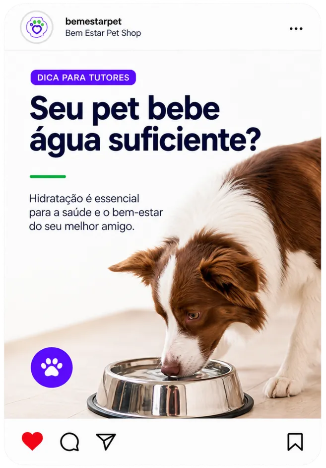 Post seu pet bebe água suficiente