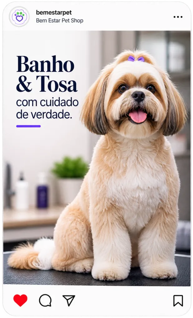 Post banho e tosa