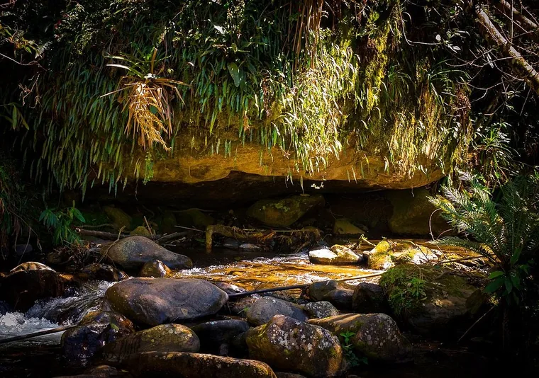 Piscina ao amanhecer